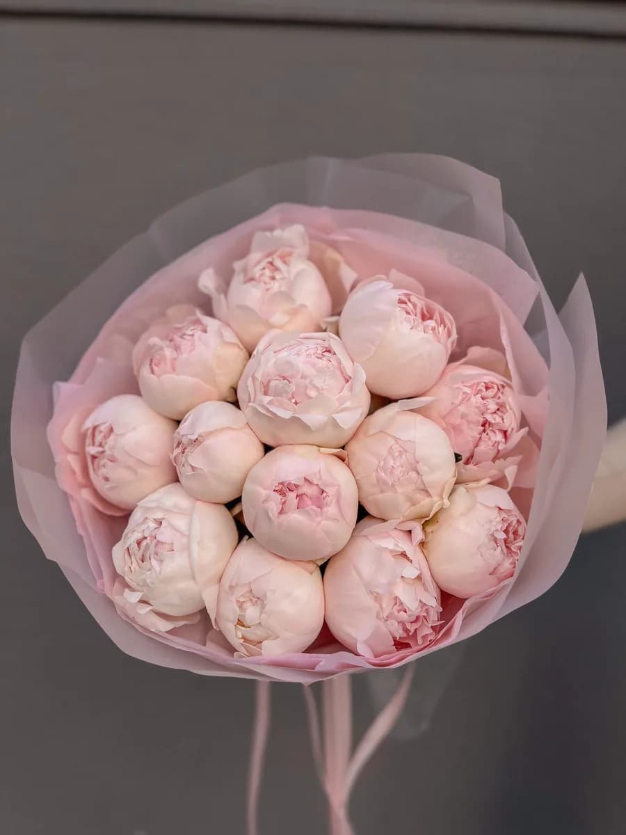 Blush Queen Peonies